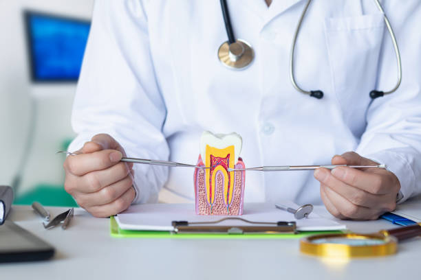 Best Emergency TMJ Treatment in Upper Ack, NY